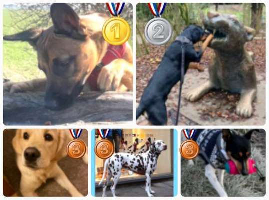 12. Collagen Challenge - Auslastung/Training-Beitrag-Bild