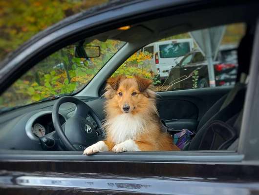 117. Fotochallenge-Beitrag-Bild