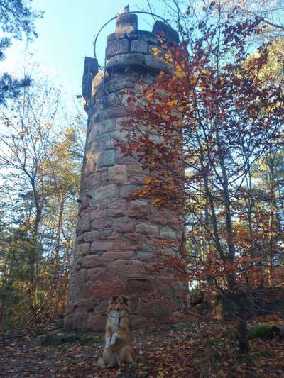 Dogorama Photo Challenge - Türme-Beitrag-Bild