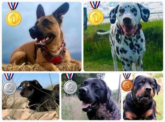 8. Collagen Challenge - Feste/Feierlichkeiten-Beitrag-Bild