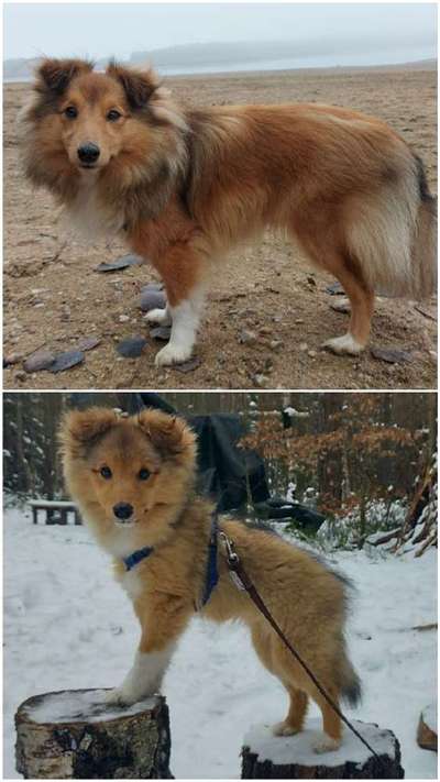 Der Gewichts-Thread-Beitrag-Bild