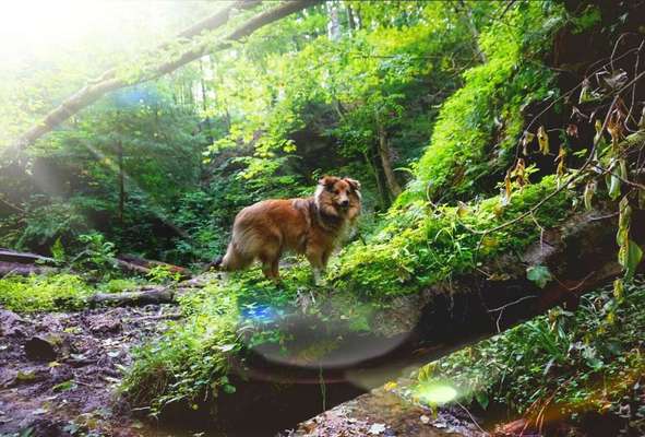 Foto Challenge Nr. 79-Beitrag-Bild