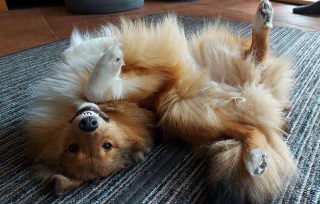 CHALLENGE NR. 34 - Liege-/Schlafpositionen-Beitrag-Bild