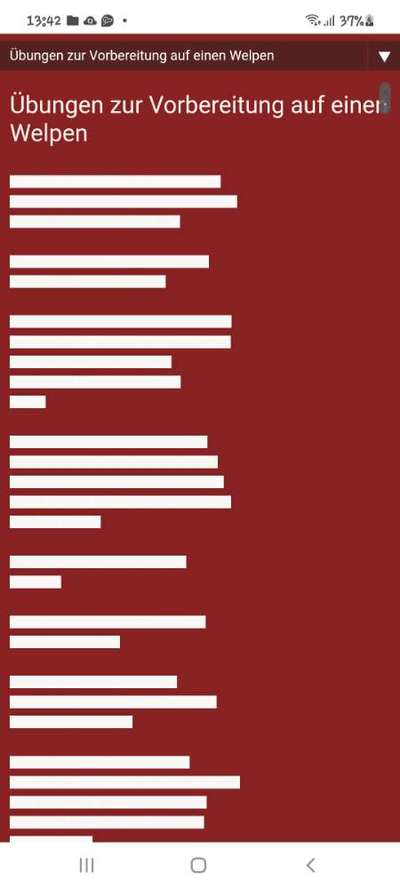 Tipps und Tricks für alle Erst-Welpenbesitzer-Beitrag-Bild