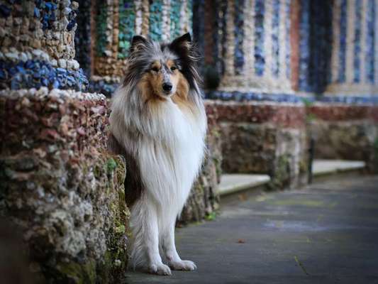 70. Handy-Fotochallenge: Zeitreisen-Beitrag-Bild