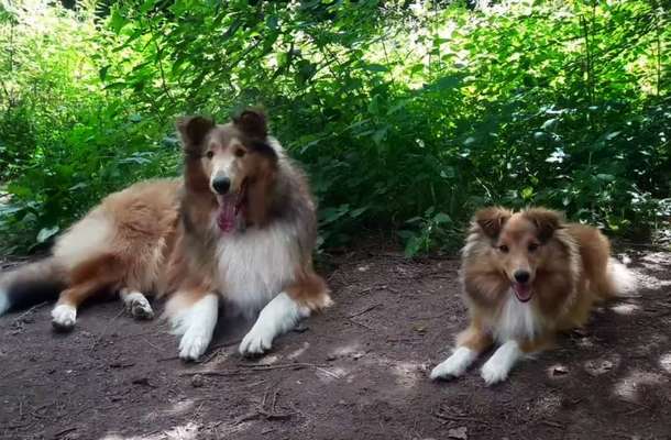 Fotochallenge 88-Beitrag-Bild