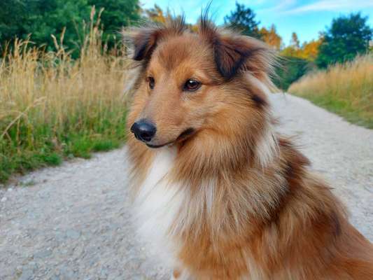 Doppelgänger gesucht !-Beitrag-Bild