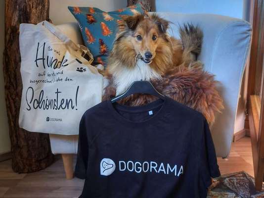 Dogorama Fan-Artikel und Merchandise-Beitrag-Bild