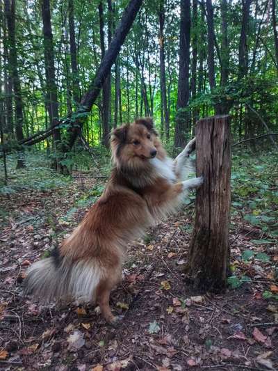 Doppelgänger gesucht !-Beitrag-Bild