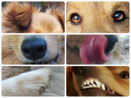 7. Collagen Challenge - Ganz Nah-Beitrag-Bild