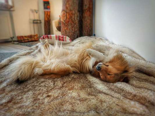 FOTO-Challenge  NR. 91: Die pure Entspannung-Beitrag-Bild