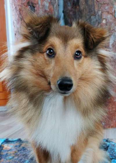 Fotochallange Nr. 57     PORTRÄT.   Beendet!!!!!!!!-Beitrag-Bild