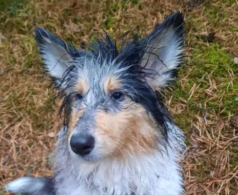 Ist das ein...?-Beitrag-Bild