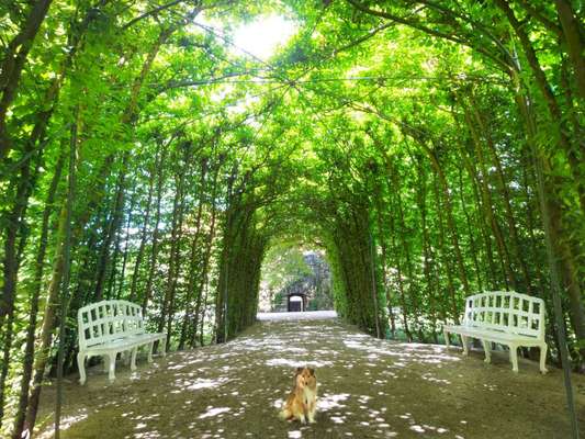 Fotochallenge 87: Im Park-Beitrag-Bild