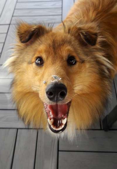 Von oben-Beitrag-Bild