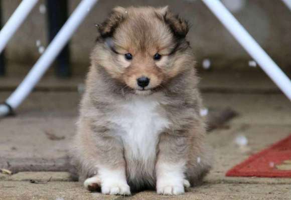 Foto Challenge 82-Beitrag-Bild