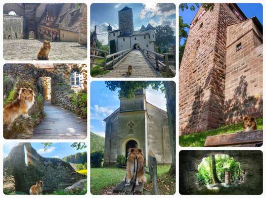 9. Collagen-Challenge 
Mein Hund und Kirchen, Ruinen, Schlösser, Burgen etc...-Beitrag-Bild