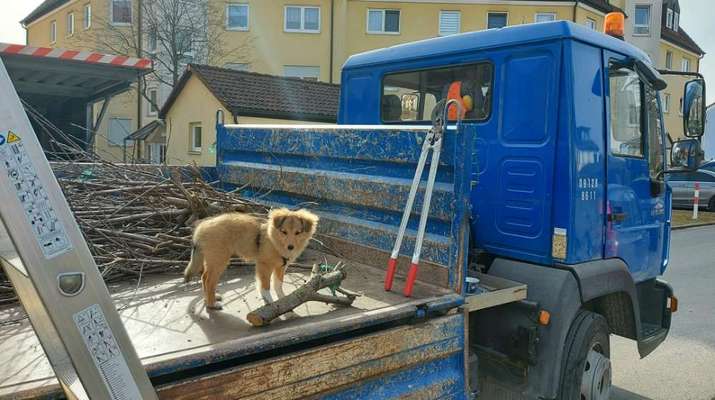 CHALLENGE NR. 18 - ON TOUR-Beitrag-Bild