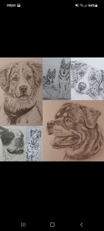 Hunde in Öl-Beitrag-Bild