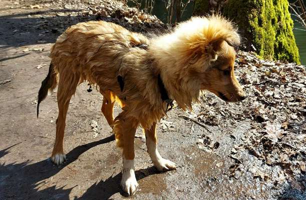 Fotochallenge 27-Beitrag-Bild