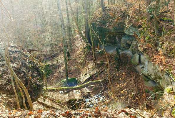 Hundeauslaufgebiet-Wallensteinweg & Schlucht mit Wasserfall-Bild