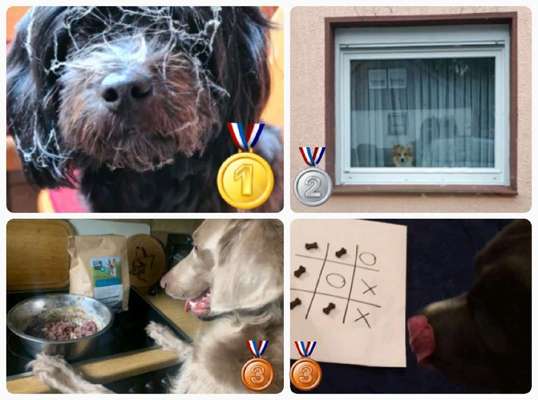 15. Handyfoto Challenge - Indoor Aktivitäten-Beitrag-Bild