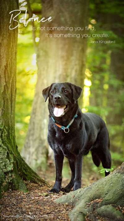 Lieblingsbild-Beitrag-Bild