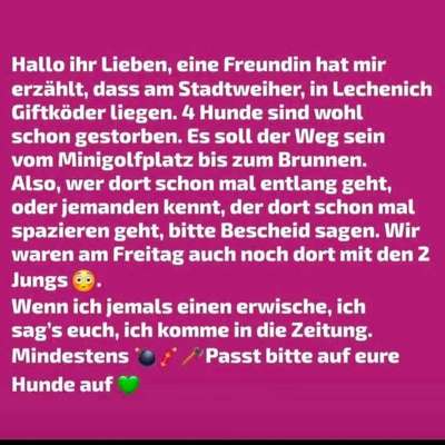 Giftköder-Giftköder am Stadtweiher-Bild