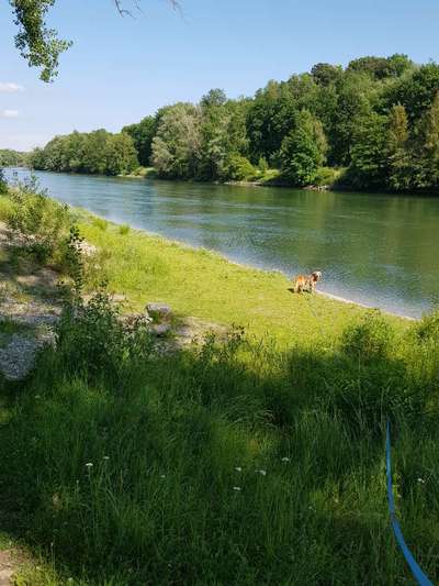 Theos Fotochallange Nummer 4-Beitrag-Bild