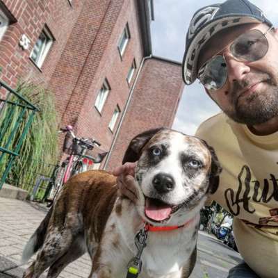 Zeigt uns das 6. Bild von eurem Hund in eurer Galerie-Beitrag-Bild