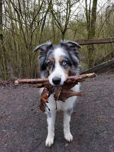 Fotochallenge Nr. 64-Beitrag-Bild