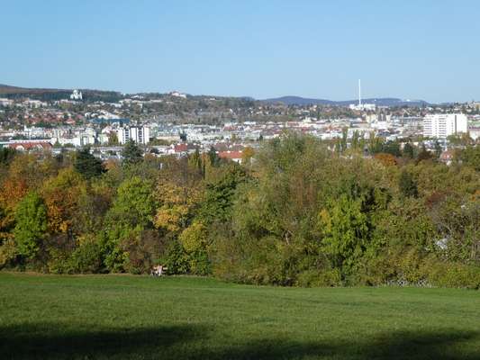 Hundeauslaufgebiet-Roter Berg-Bild