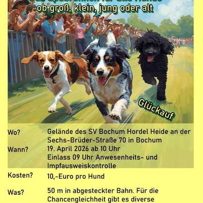 Hundetreffen-Pfotenpower Hunderennen am 19.04.2026 im AgiTreff Ruhr SV OG Bochum Hordel Heide e.V.-Bild