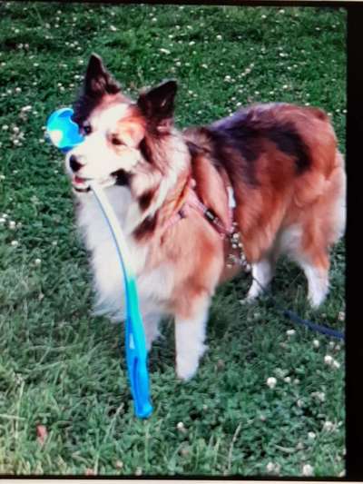 Lieblingsbild-Beitrag-Bild