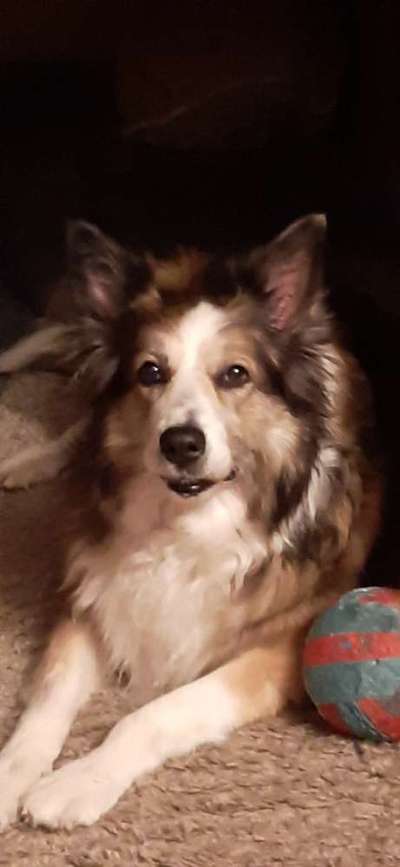 Lieblingsbild-Beitrag-Bild