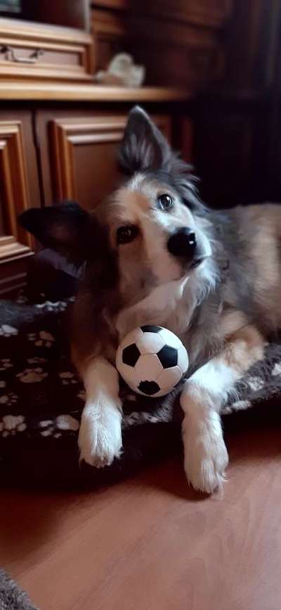 Lieblingsbild-Beitrag-Bild