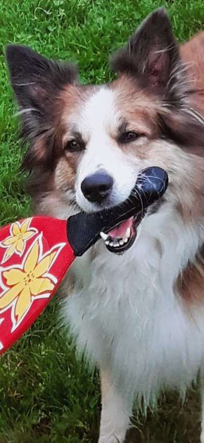 Lieblingsbild-Beitrag-Bild