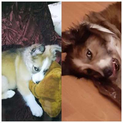 Lieblingsbild-Beitrag-Bild