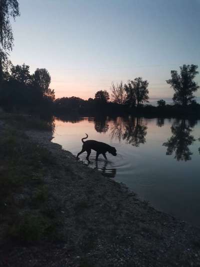 Dogorama Foto Challenge - Dämmerung-Beitrag-Bild