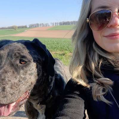 Hundetreffen-Spielrunde-Profilbild