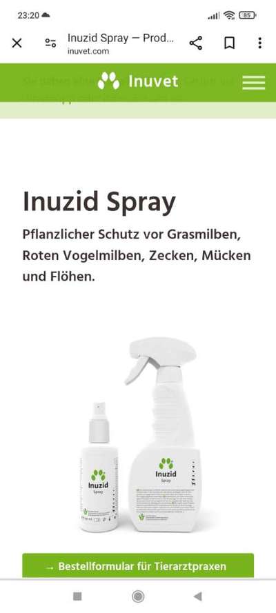 Fieber, Haarausfall und Abgeschlagenheit-Beitrag-Bild