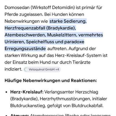 Herzstillstand in Narkose - junger Hund-Beitrag-Bild