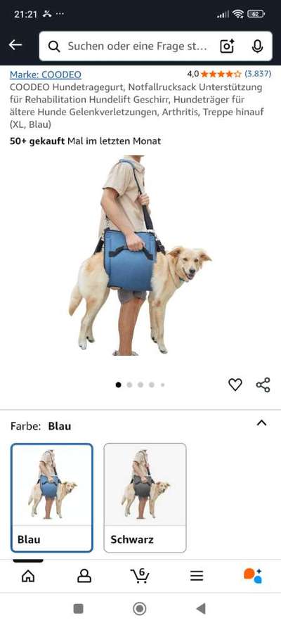 Arthrose/ Treppe-Beitrag-Bild