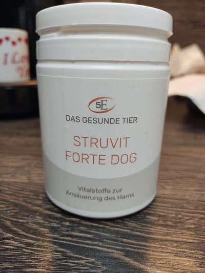 Teststreifen Urin-Beitrag-Bild