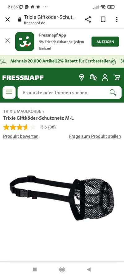 Mein Welpe frisst Steine-Beitrag-Bild