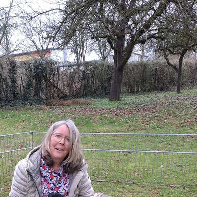 Hundetreffen-Sozialisierung Welpe-Profilbild