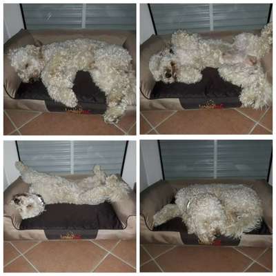 Die unbequemsten und lustigsten Schlafpositionen-Beitrag-Bild