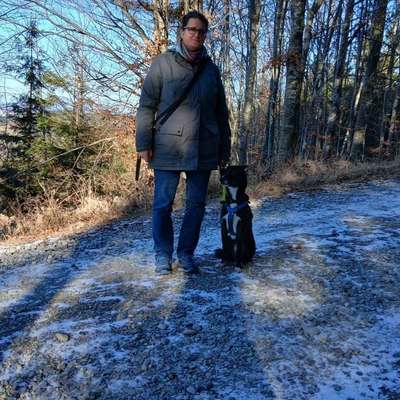 Hundetreffen-Social Walk an der Leine