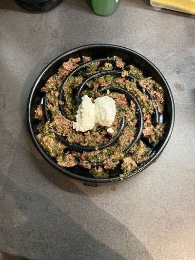 Zeigt her Eure Futternäpfe-Beitrag-Bild