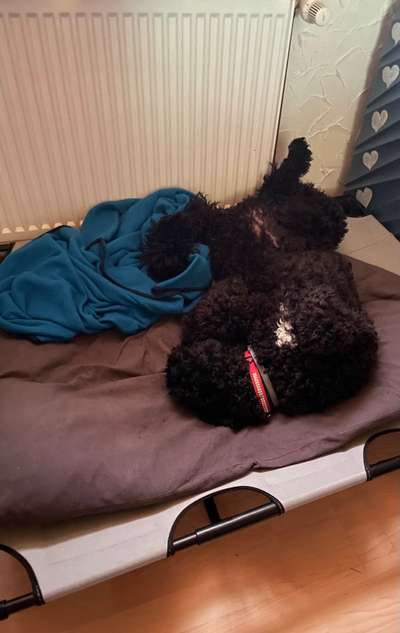 Die unbequemsten und lustigsten Schlafpositionen-Beitrag-Bild